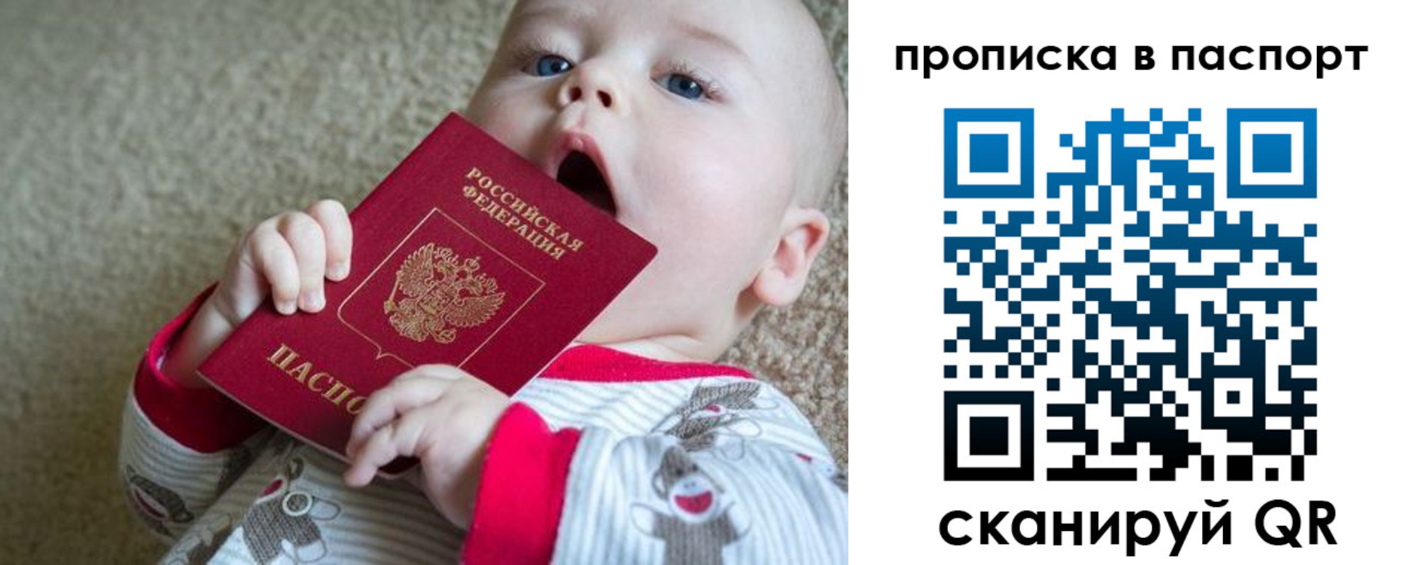 купить прописку в Королёве